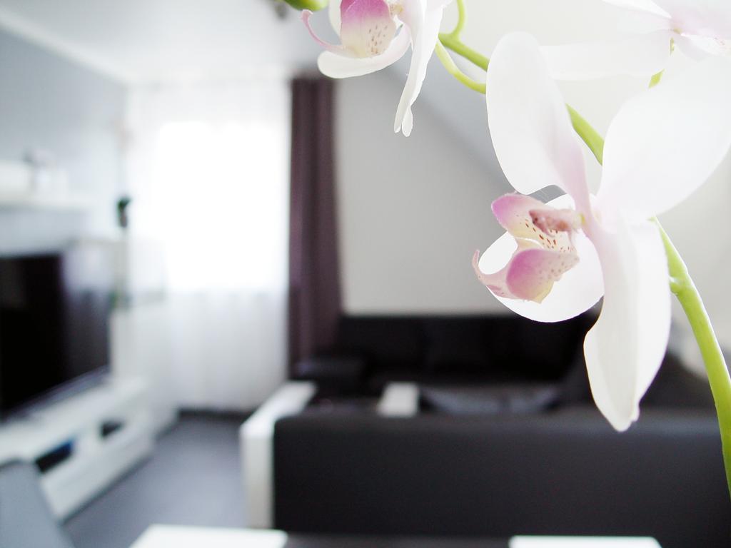 Apartmán La Domus Premium Osnabrueck Lotte Exteriér fotografie