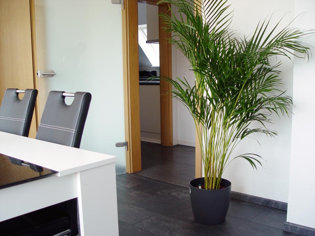 Apartmán La Domus Premium Osnabrueck Lotte Exteriér fotografie